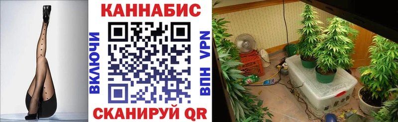 Продажа наркотиков Энгельс Псилоцибиновые грибы  мега онион  A PVP  Гашиш  Кокаин  Каннабис  МЕФ 