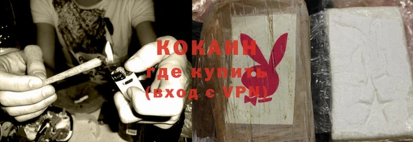стафф Богданович