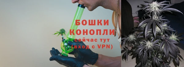 сатива Богородск
