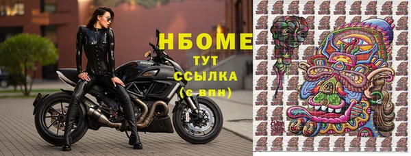 амф Бородино