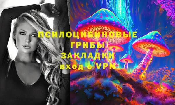 твердый Богородицк